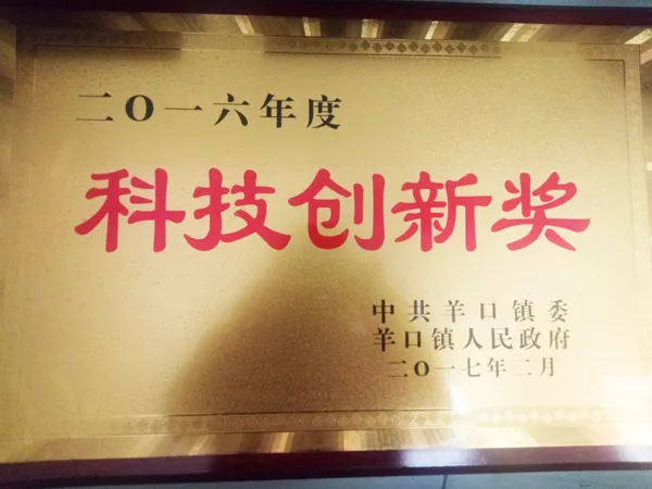 2016 Science and Technology Innovation Award