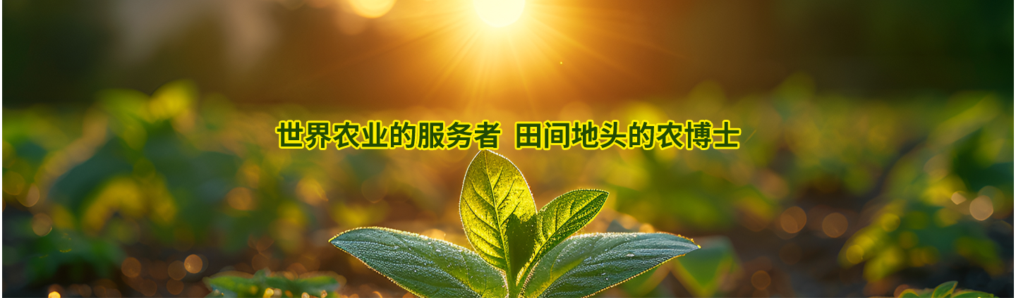 �ڲ�����-����Ϊ��,רҵ����!